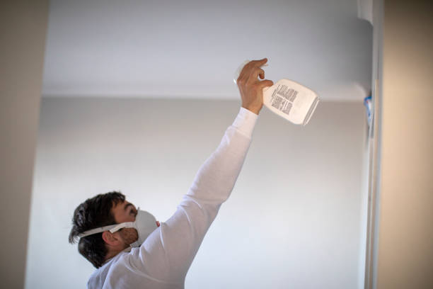 Office Mold Removal Services in Highland Springs, VA