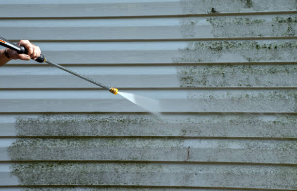 Best Mold Testing  in Highland Springs, VA