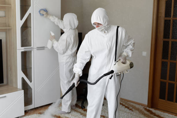 Best Toxic Mold Removal  in Highland Springs, VA