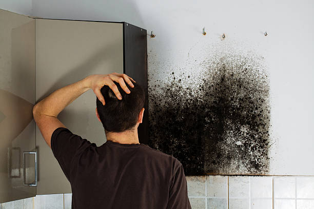 Best Office Mold Removal Services  in Highland Springs, VA